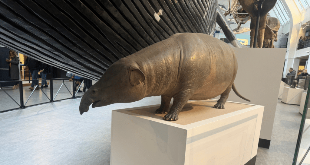 Students review their trip to the Natural History Museum - MPW